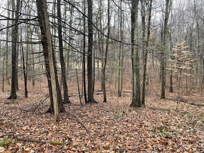 Herrick Trail Preserve Picture 10