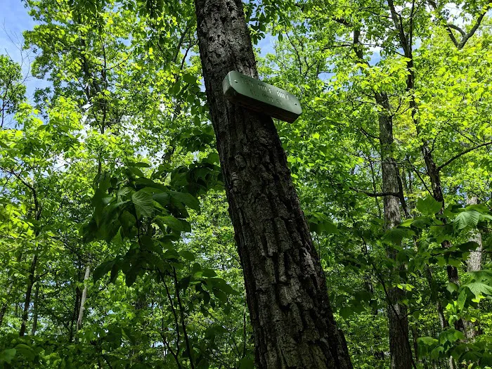 Herrick Trail Preserve Picture 7