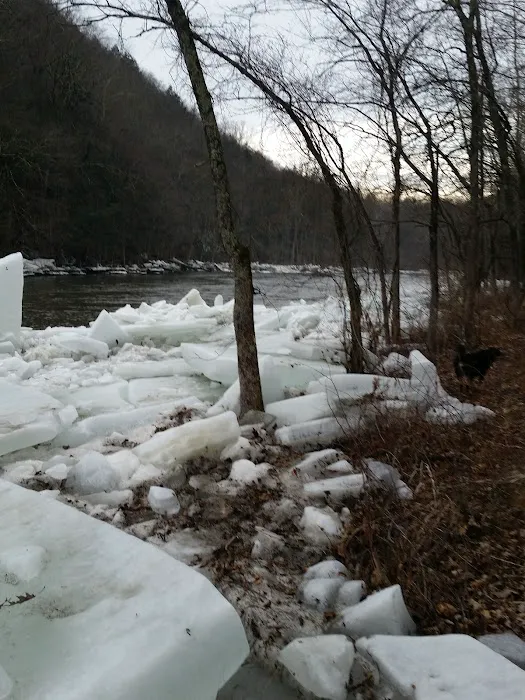 Herrick Trail Preserve Picture 6