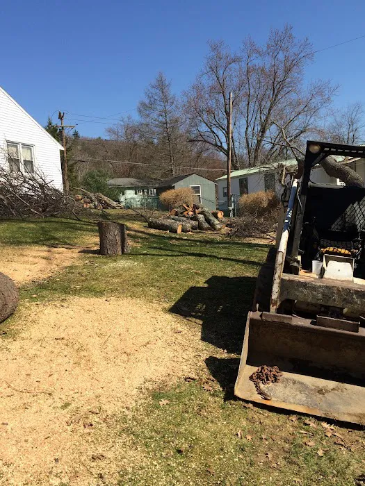 Billy’s odds/ends landscaping & construction Picture 1