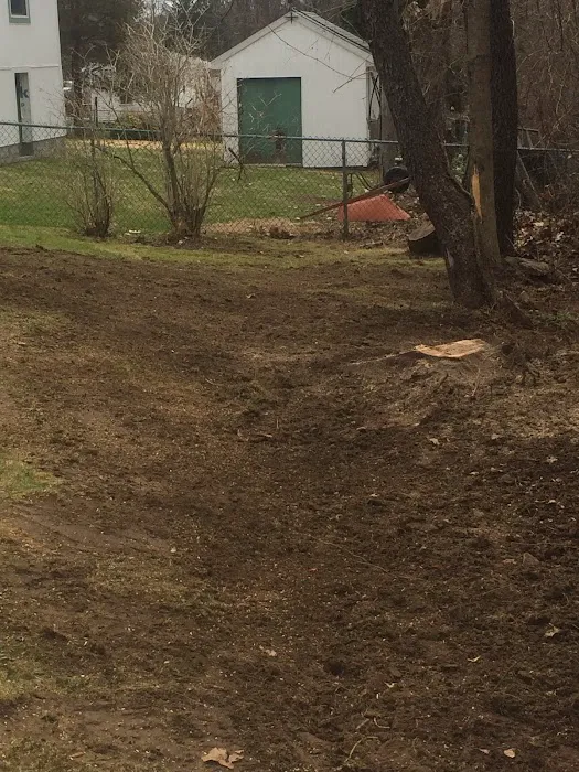 Billy’s odds/ends landscaping & construction Picture 4