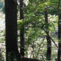 National Scenic Trail At Bulls Bridge ico