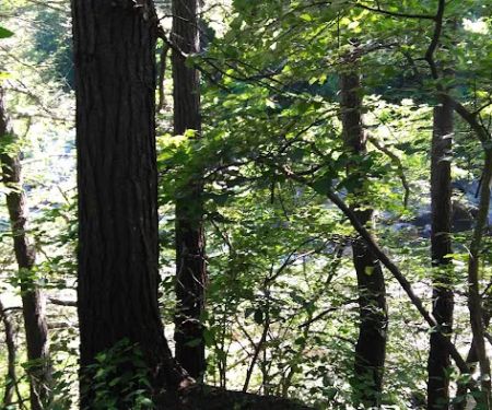 National Scenic Trail At Bulls Bridge
