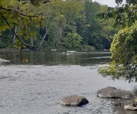 New Milford River Trail