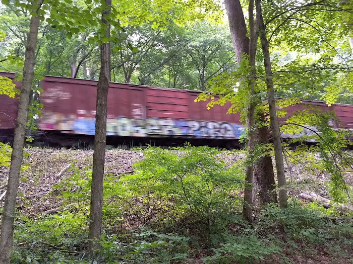 New Milford River Trail Picture 9