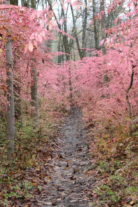 New Milford River Trail Picture 7
