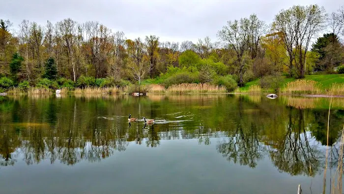 Sega Meadows Park Picture 1