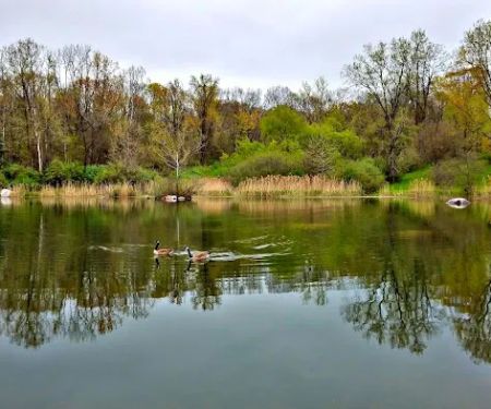 Sega Meadows Park