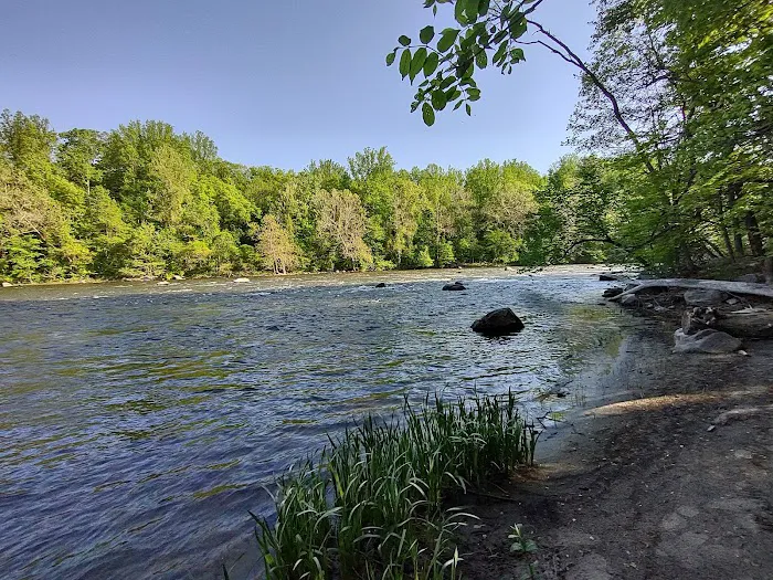 Sega Meadows Park Picture 7