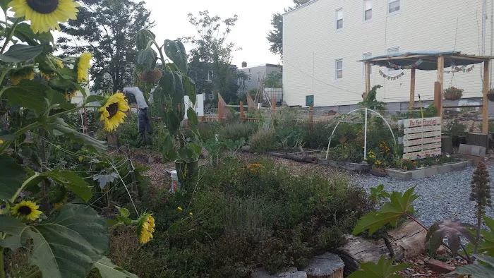 Rabbit Hole Farm Newark Picture 10