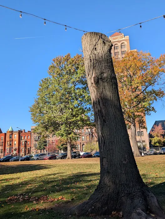 Lincoln Park Picture 7