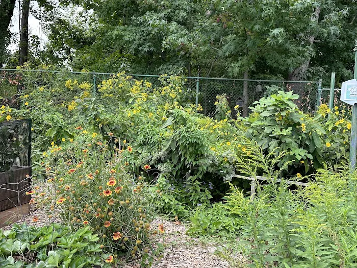 Township of Union Community Garden Picture 9