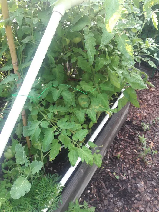 Township of Union Community Garden Picture 3