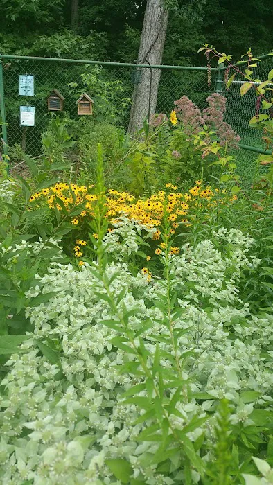 Township of Union Community Garden Picture 1