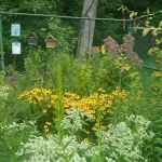 Township of Union Community Garden