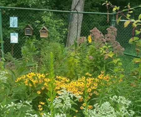 Township of Union Community Garden