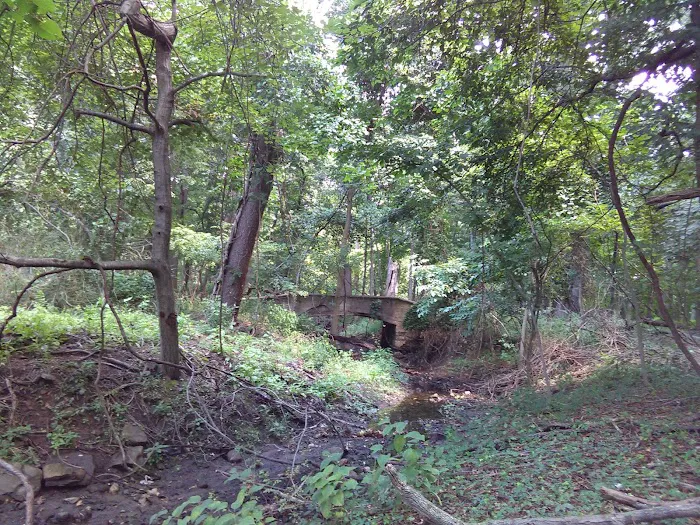 Rahway River Parkway Picture 4