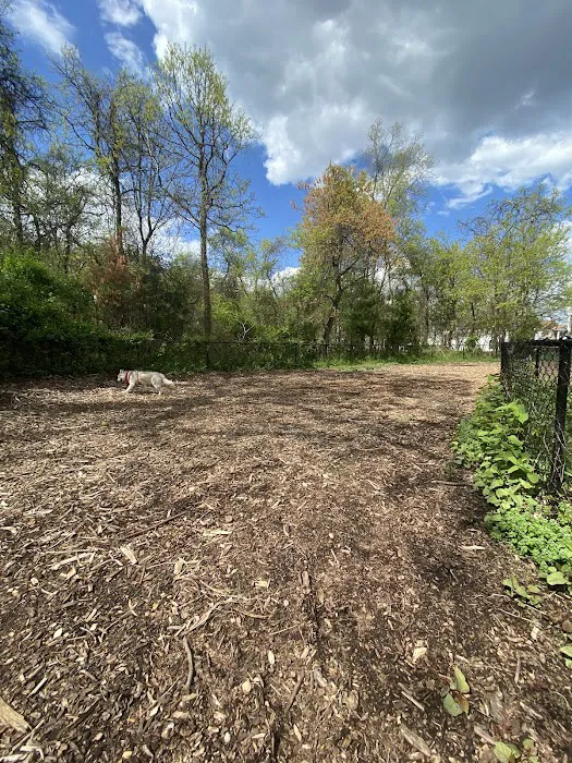 Conference House Dog Park Picture 7