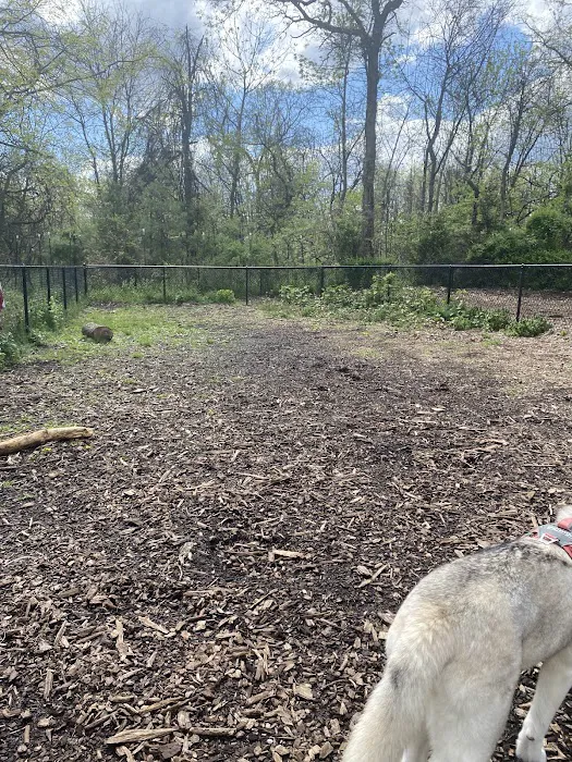 Conference House Dog Park Picture 3