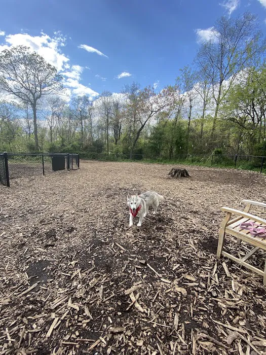 Conference House Dog Park Picture 9