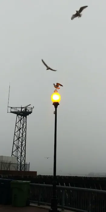 Perth Amboy Municipal Marina Picture 4