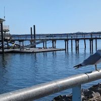 Waterfront Walkway ico