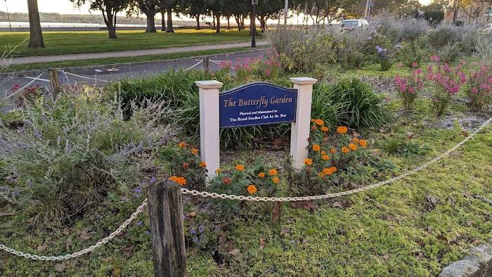 The Butterfly Garden Picture 9