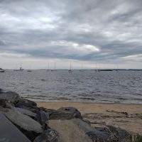 International Park ico