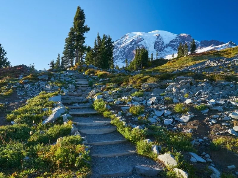 A Local’s Guide to Hiking in Washington: Trails, Tips, and Hidden Gems