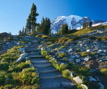 A Local’s Guide to Hiking in Washington: Trails, Tips, and Hidden Gems