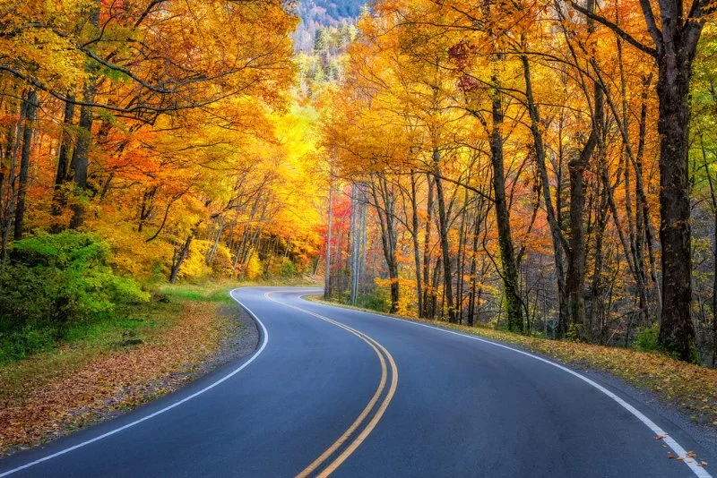 Best Road Trips Destinations in Tennessee for 2025