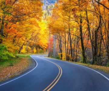 Best Road Trips Destinations in Tennessee for 2025
