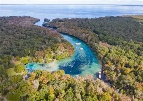 Best Seasonal Travel Destinations in Florida for 2025