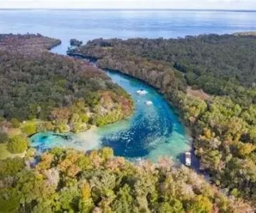 Best Seasonal Travel Destinations in Florida for 2025